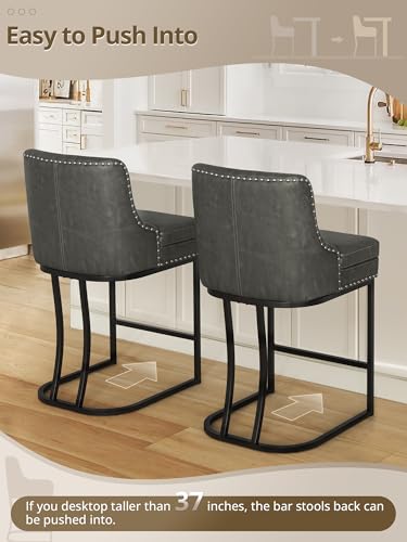 LUE BONA Dark Gray Modern Counter Height Bar Stools Set of 4
