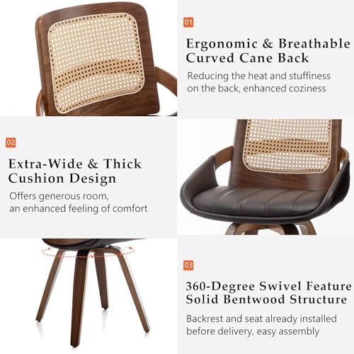 Mid Century Modern Swivel Walnut Dining Chairs with Cane Back - Set of 2 (Walnut Brown)