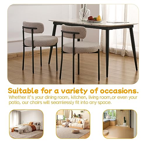 EDWELL Black Metal Leg Boucle Dining Chair Set of 2